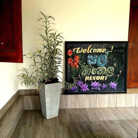 Salmanel Resort Ratnapura Eksteriør bilde