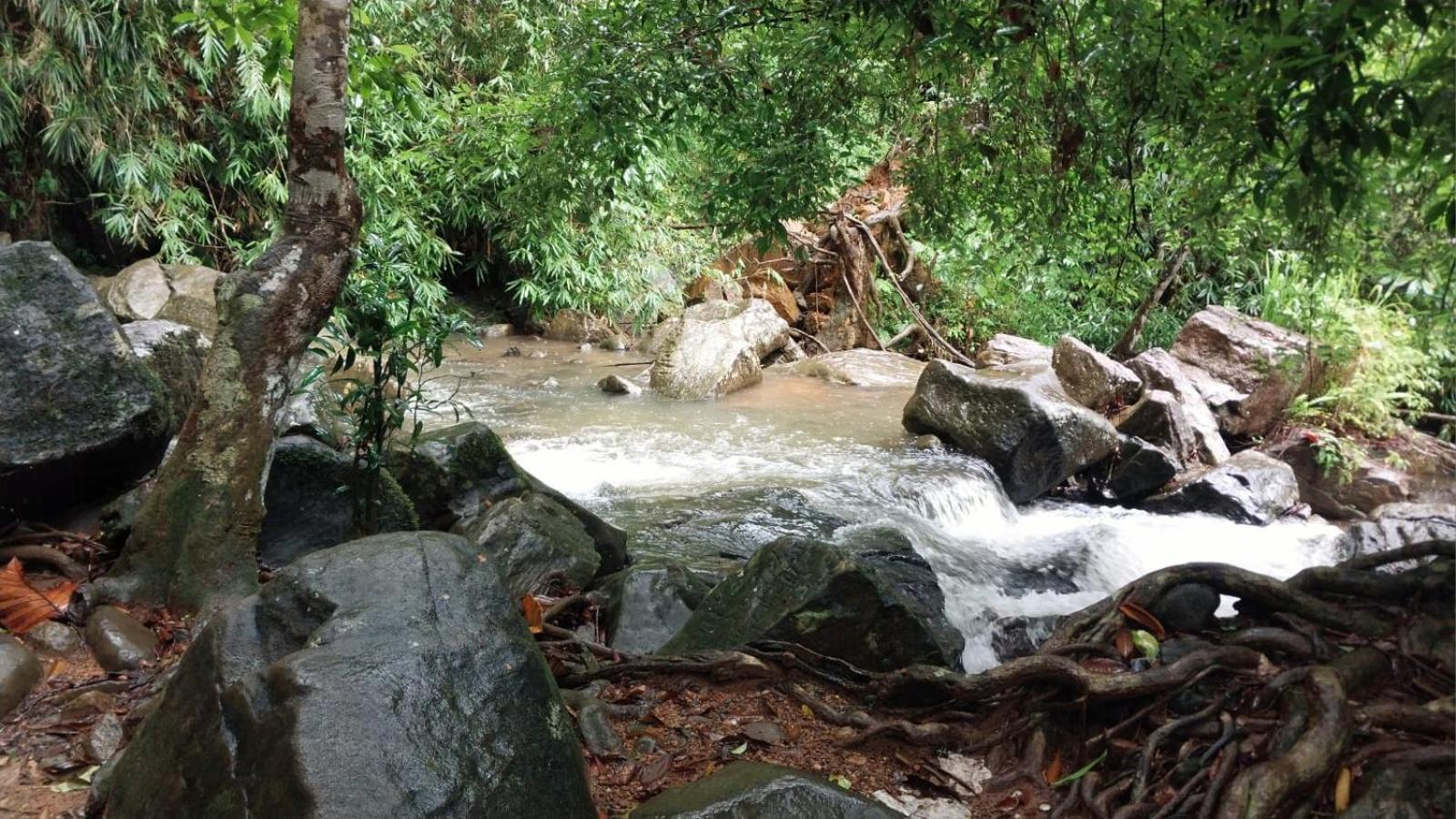 Salmanel Resort Ratnapura Eksteriør bilde