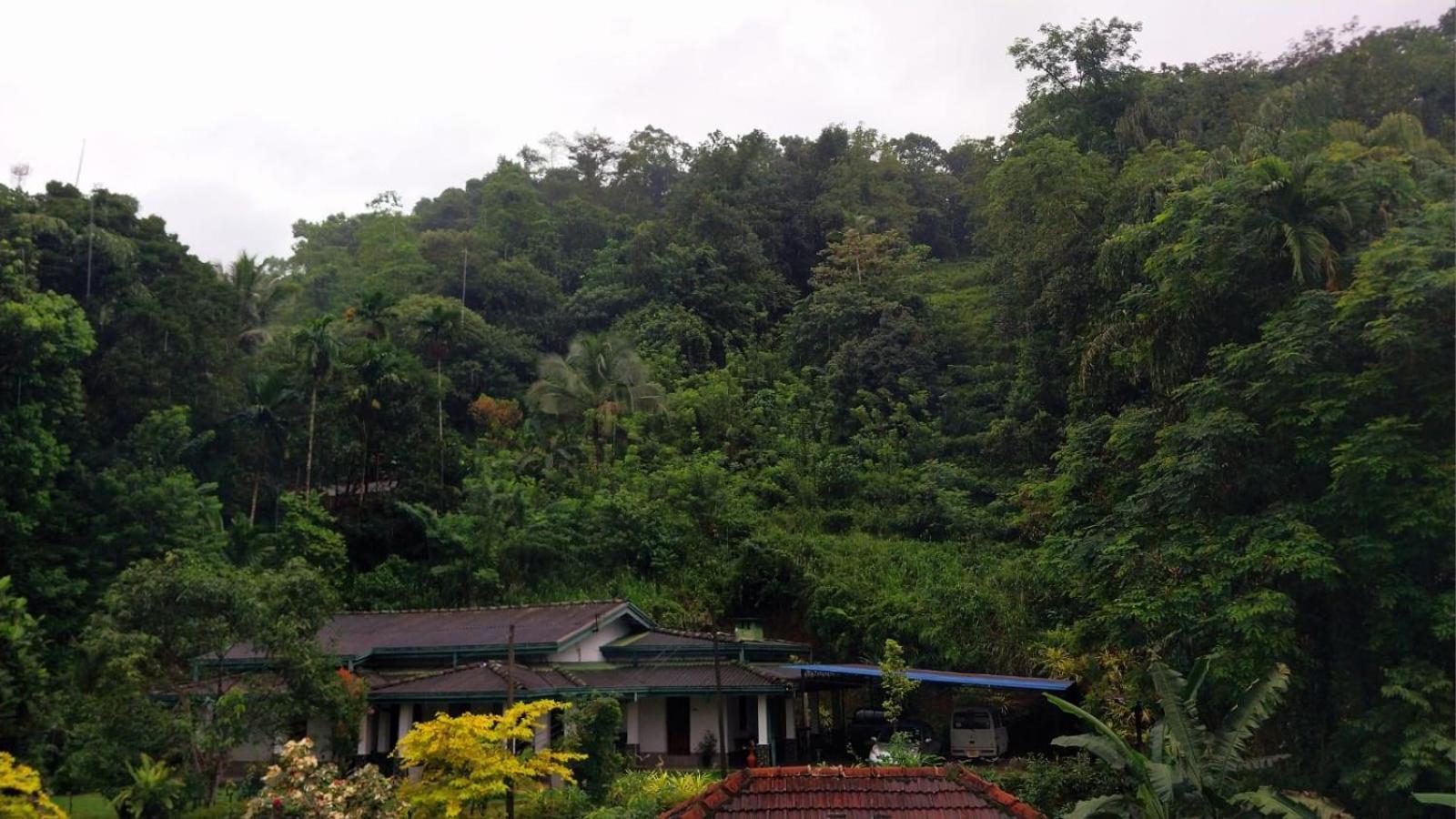 Salmanel Resort Ratnapura Eksteriør bilde